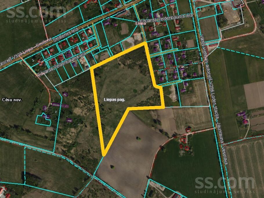 Pie Līvānu mājām, Cēsis un raj., Liepas pag. — zeme