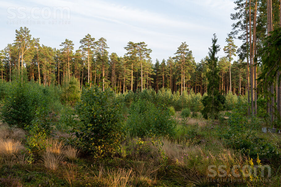 Mellenes, Inčukalns, Rīgas rajons, Inčukalna nov. — zeme