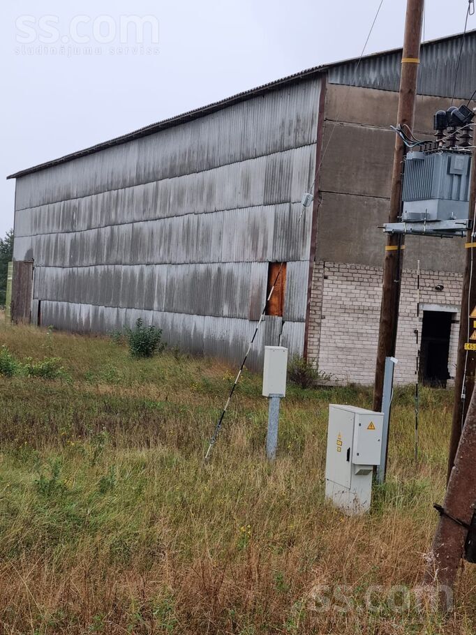 Riņķa iela 7, Ventspils un raj., Piltene — telpa