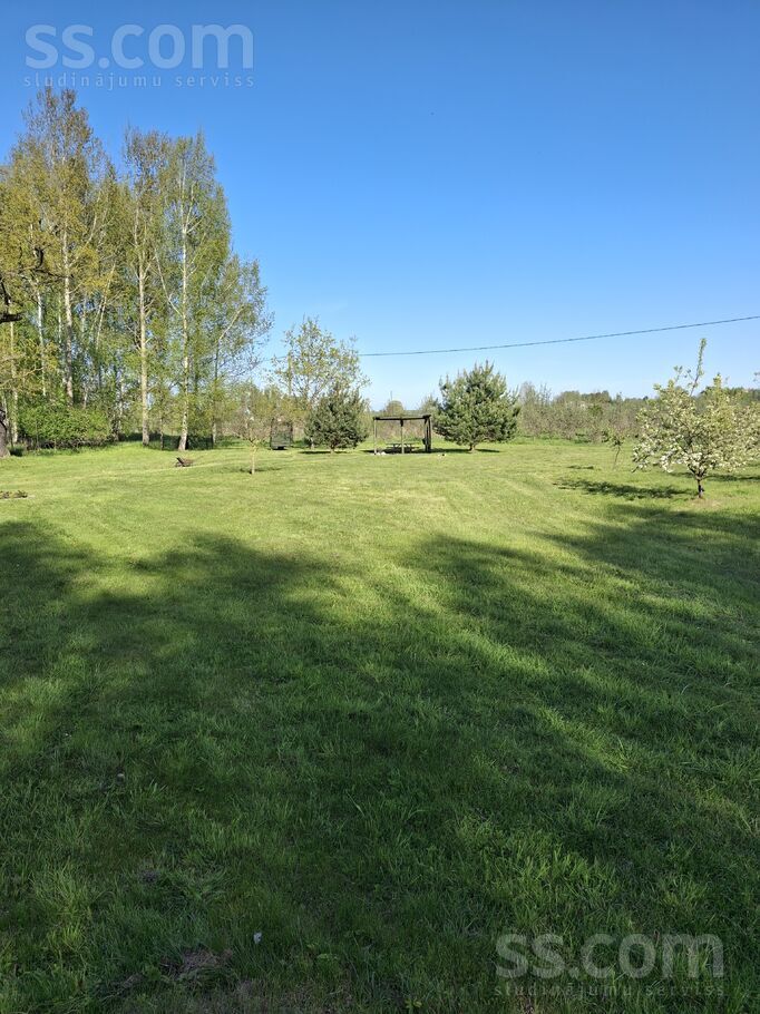 Dzintari, Cimāles, Jelgava un raj., Līvbērzes pag. — maja