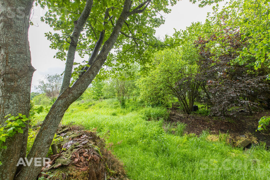 Tērvetes 170b, Jelgava un raj., Jelgava — zeme