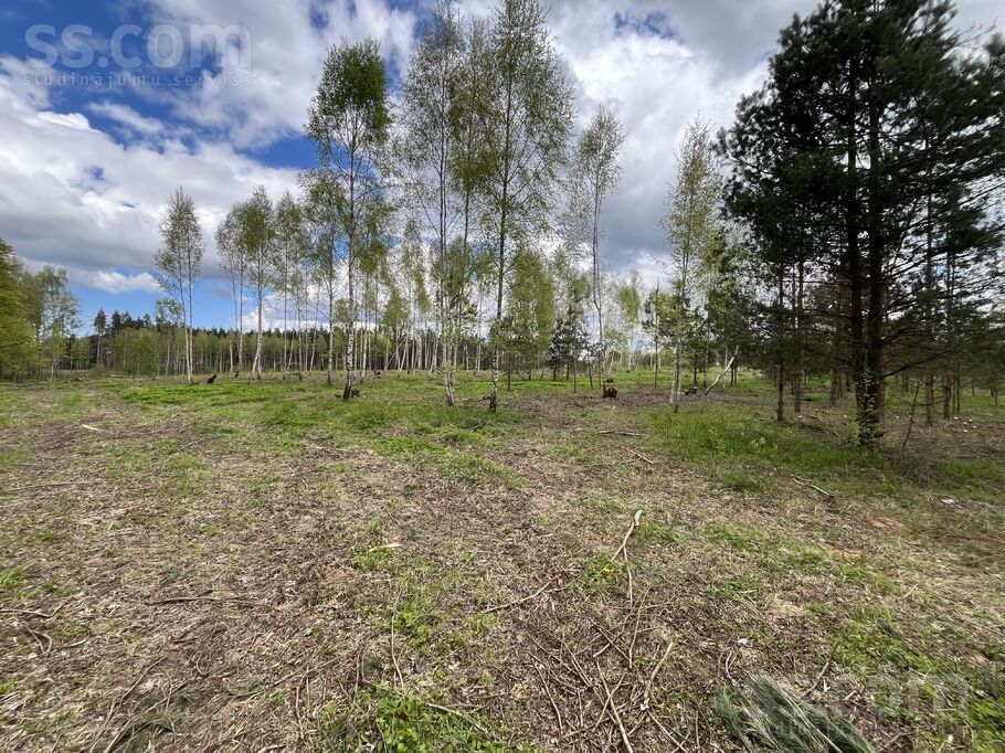 Jaunrempi, Saulkalne, Rīgas rajons, Salaspils l. t. — zeme