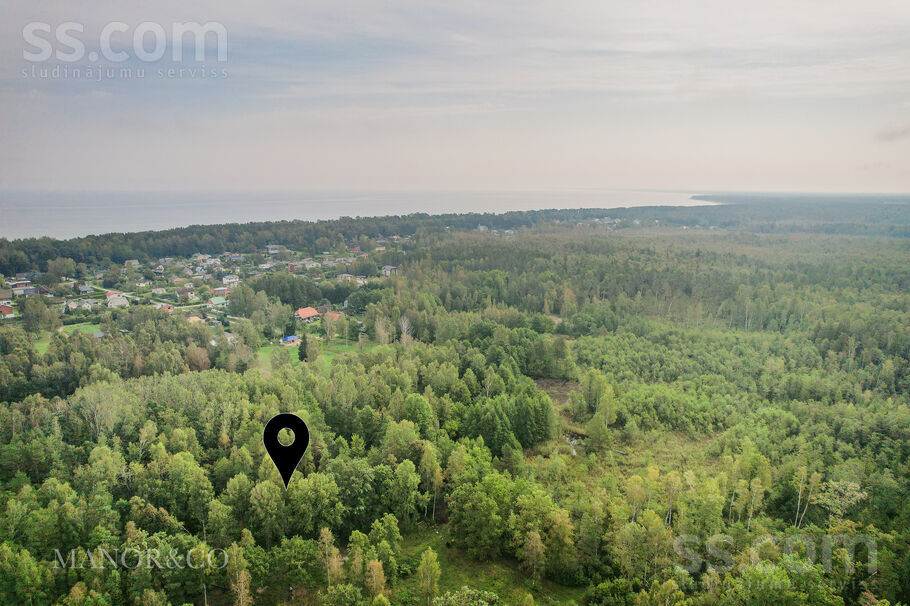 Meža iela, Bigauņciems, Tukums un raj. — zeme
