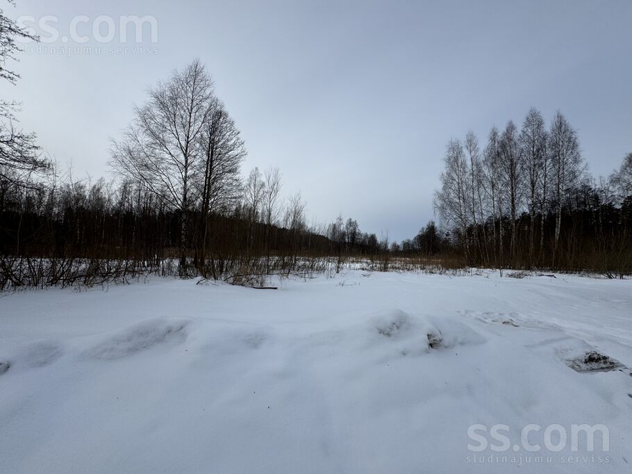 Bebriņi, Piņķi, Rīgas rajons, Babītes pag. — zeme