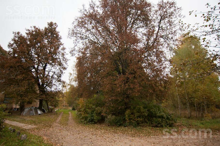 Ārstniecības iela 1, Rīgas rajons, Baldone — zeme