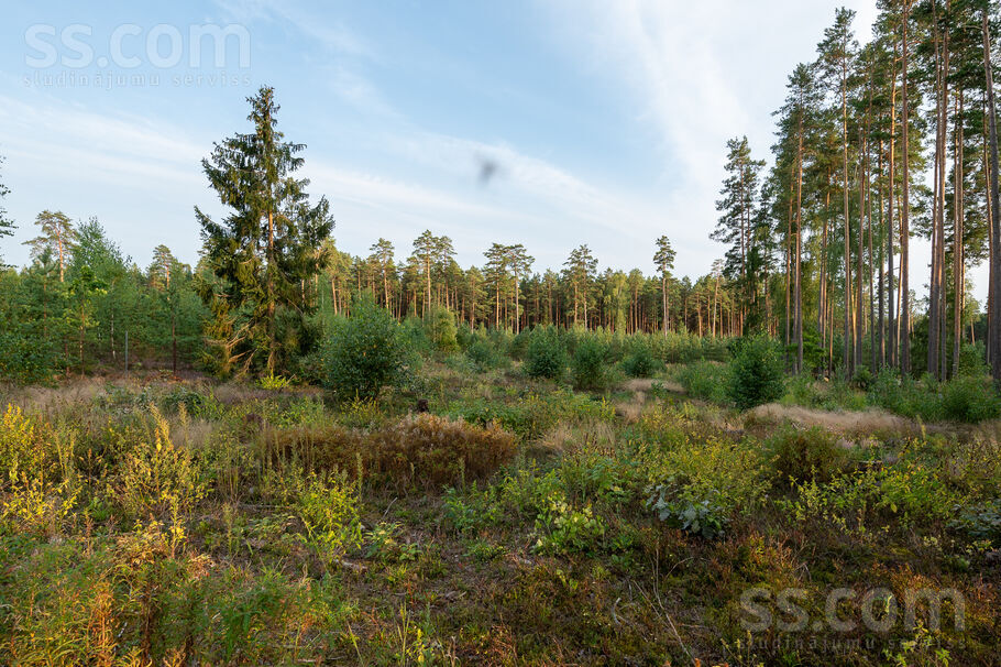 Mellenes, Inčukalns, Rīgas rajons, Inčukalna nov. — zeme