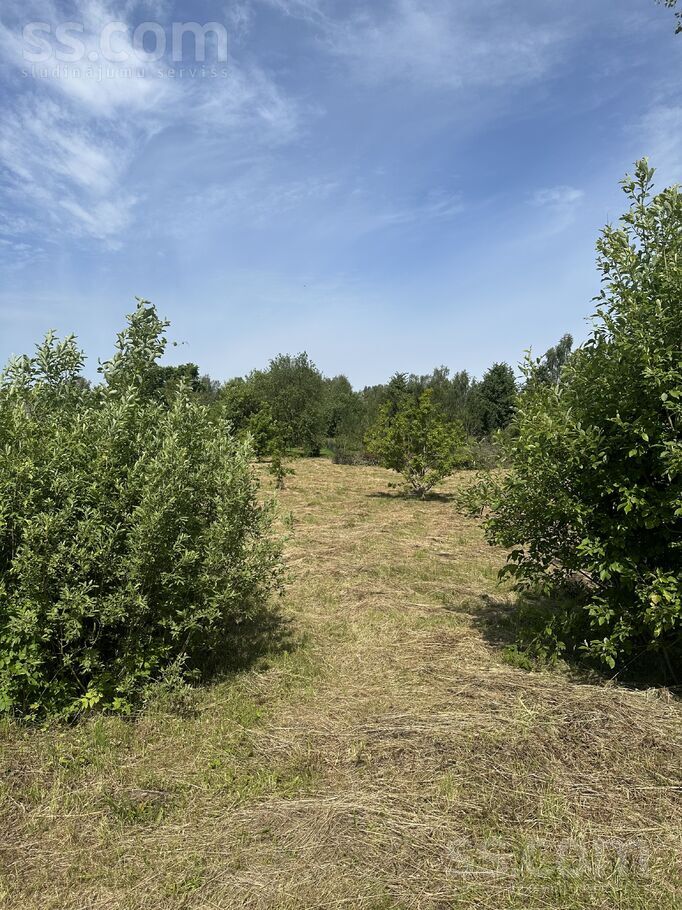 Teatra 25a, Ludza un raj., Kārsava — zeme