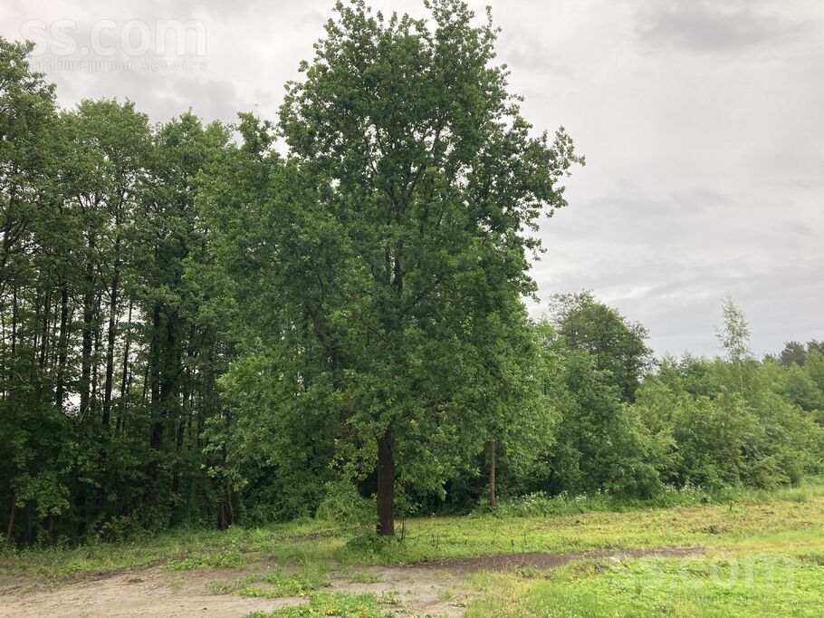 Līču 11a, Rīga — zeme