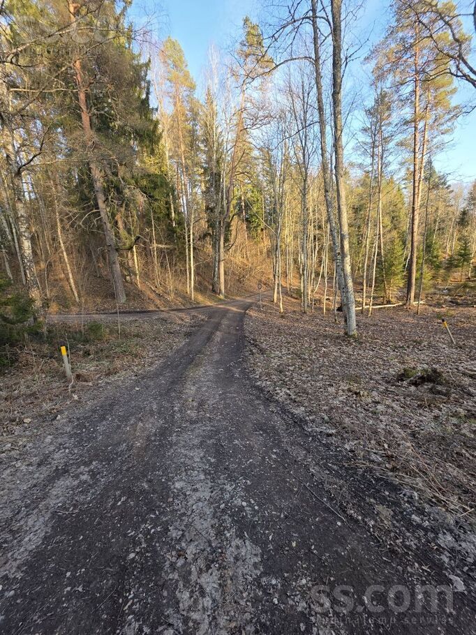 Zemes elpa, Raiskums, Cēsis un raj., Raiskuma pag. — zeme