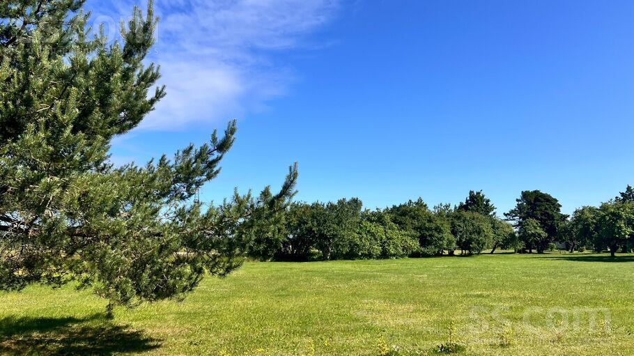 Bīriņu iela, Ķekava, Rīgas rajons, Ķekavas pag. — zeme