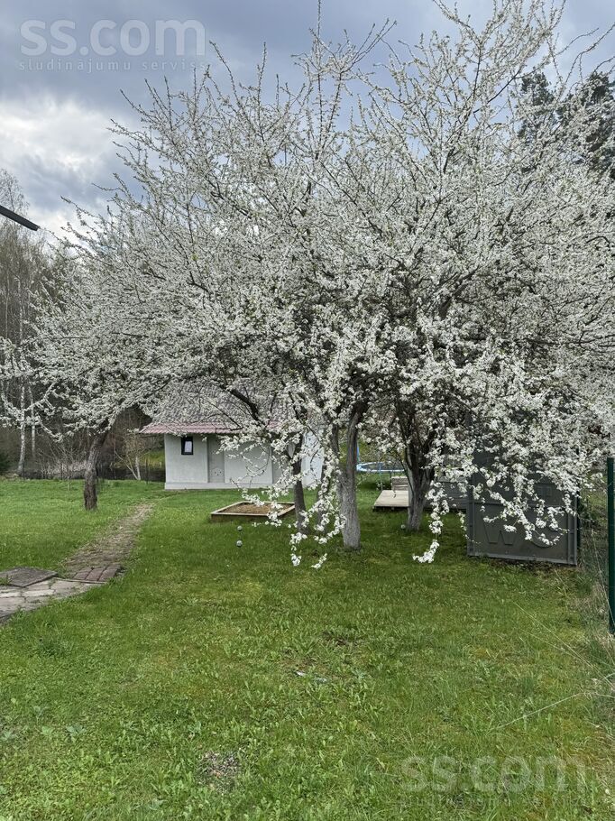 Zapoļniki, Daugavpils un raj., Daugavpils — maja