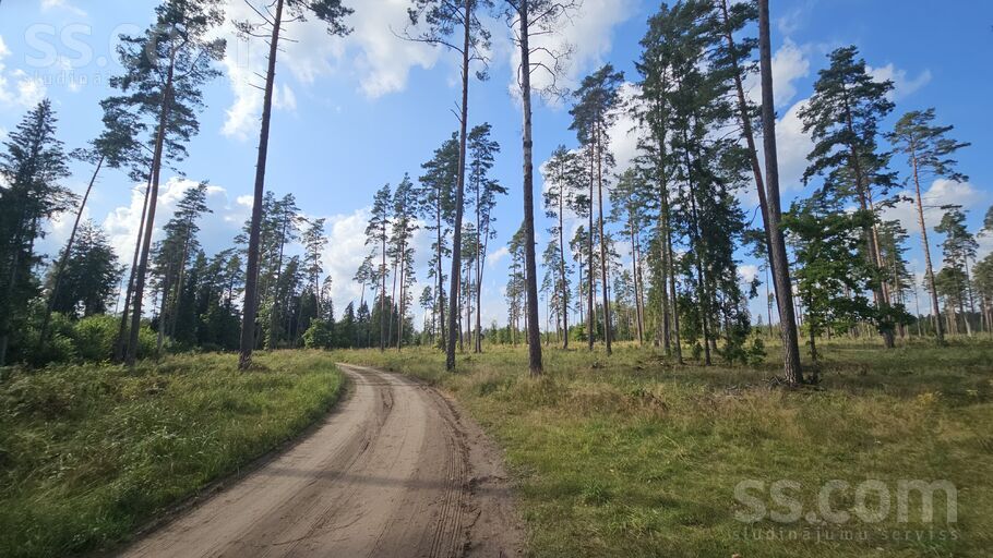 Krauļi 1, Bauska un raj., Bauska — zeme