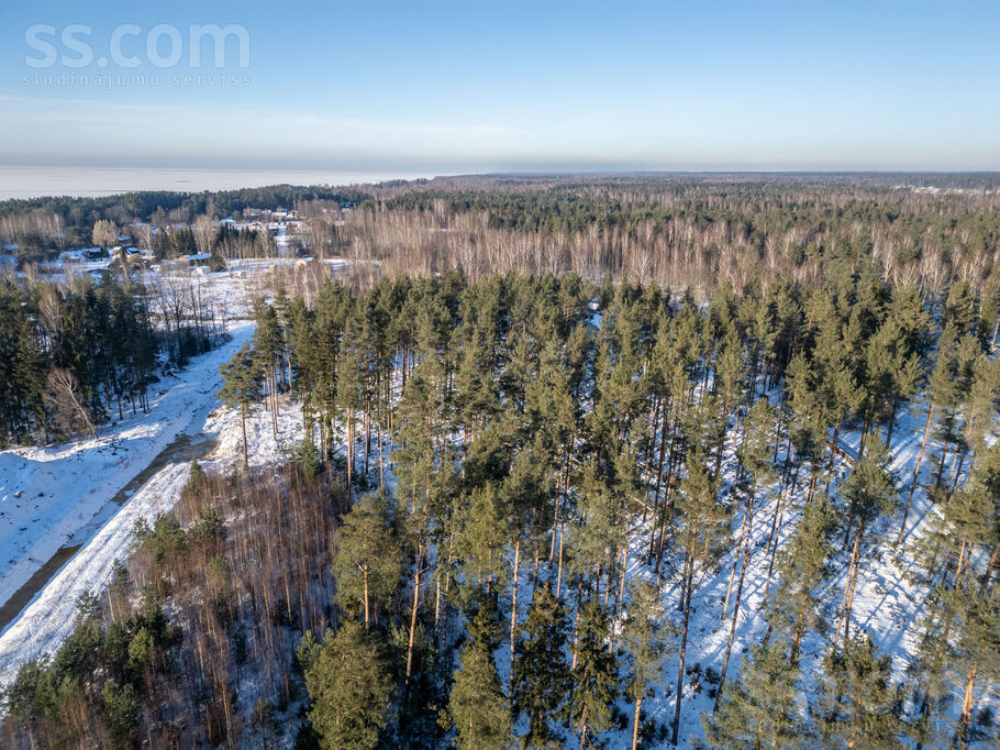 Jūras prospekts 16, Rīgas rajons, Saulkrasti — zeme