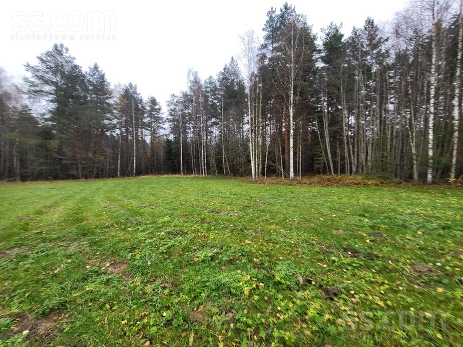 Nomalnieki, Vireši, Alūksne un raj., Virešu pag. — zeme