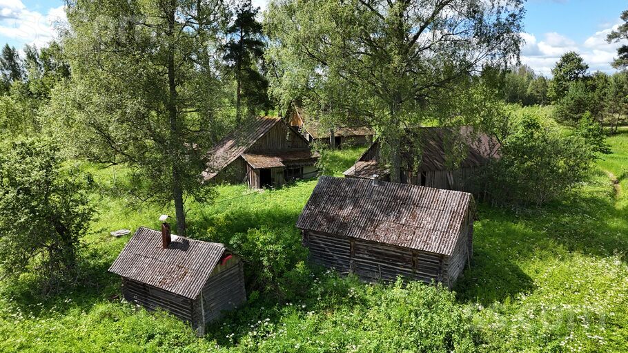 Noviki, Ludza un raj., Isnaudas pag. — vienseta