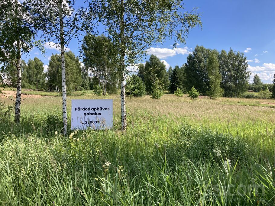 Liepu 9a, Auciems, Cēsis un raj., Raiskuma pag. — zeme