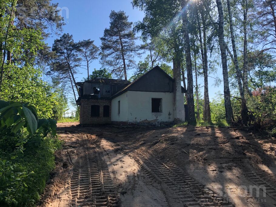 Dobele un raj., Dobele — vienseta