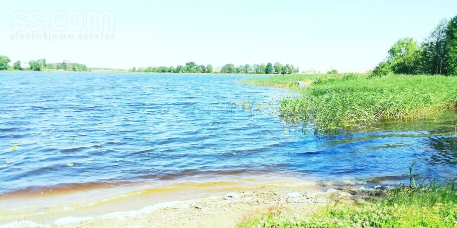 Bruņene, Daugavpils un raj., Skrudalienas pag. — vienseta