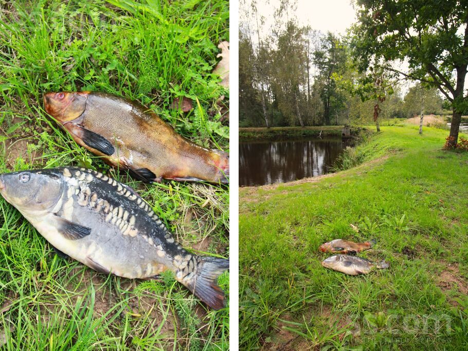 Jāņavārti, Rīgas rajons, Sigulda — maja