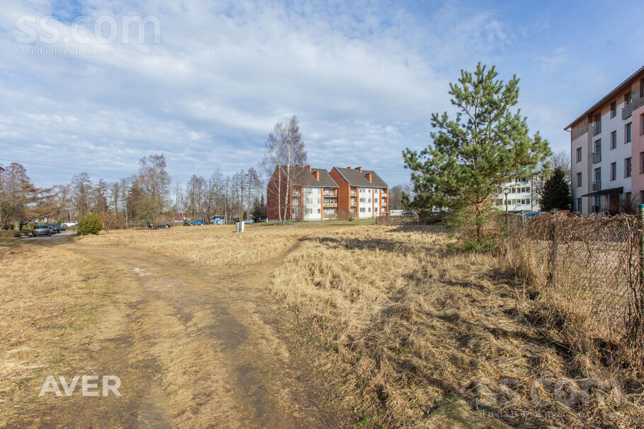 Ojāra Vācieša iela 28, Carnikava, Rīgas rajons, Carnikavas nov. — zeme