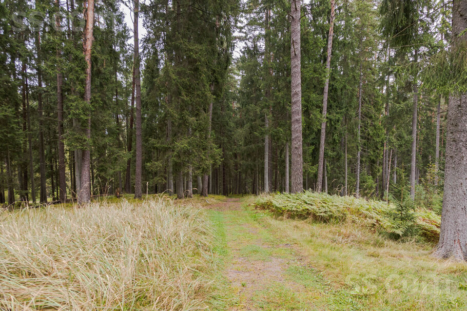 Vārpas iela 10, Ogre un raj., Ogre — zeme