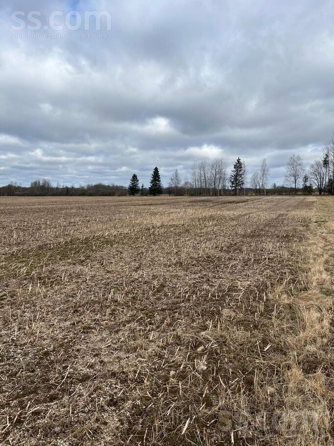 Kaušu mājas, Ivdrīši, Preiļi un raj., Preiļu pag. — zeme