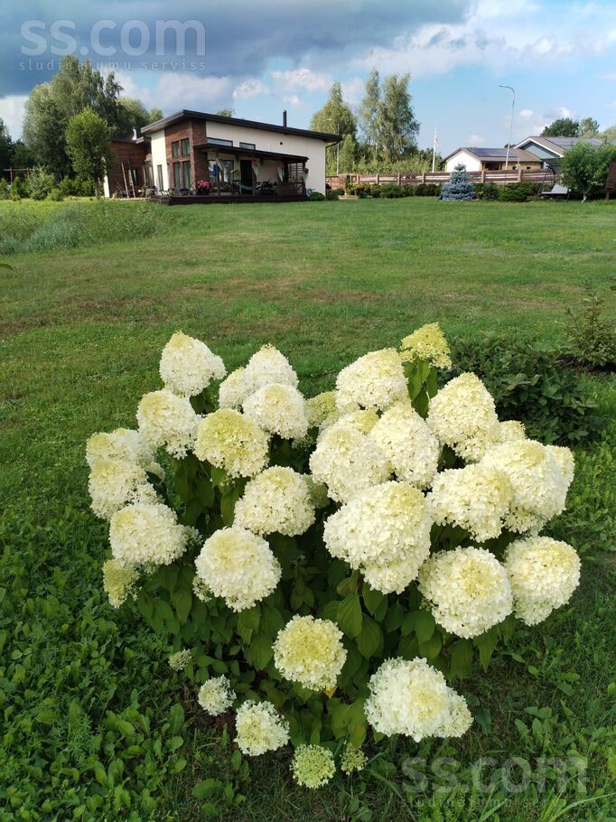 Juglas krastm., Rīga — maja