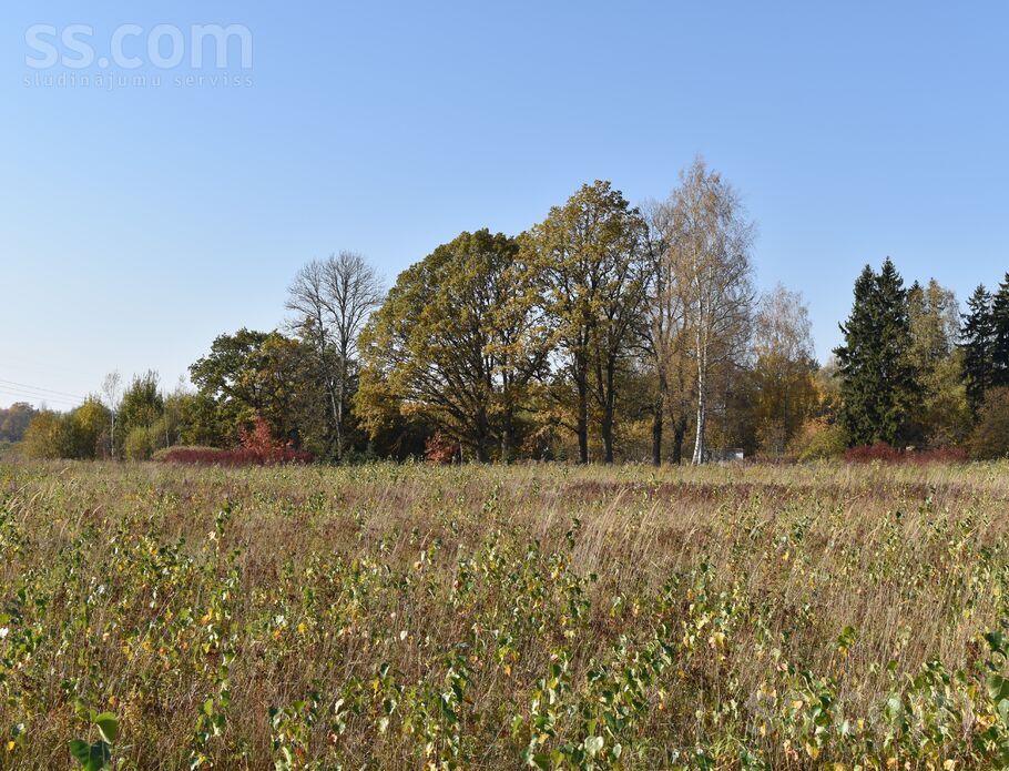 Normaļi, Plakanciems, Rīgas rajons, Ķekavas pag. — zeme