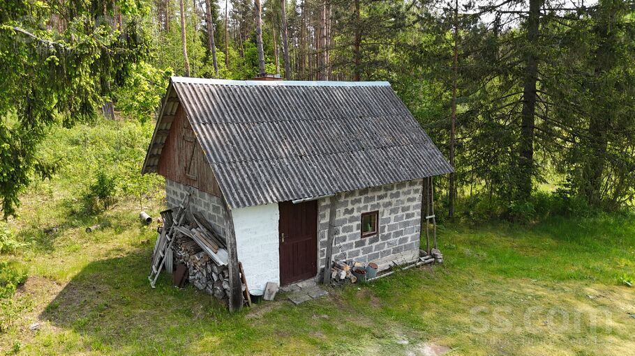 Bērziņi, Krivoseļci, Krāslava un raj., Piedrujas pag. — maja