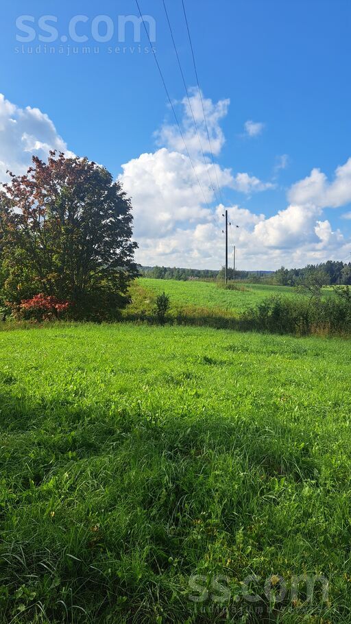 Dzērbene, Cēsis un raj., Dzērbenes pag. — vienseta