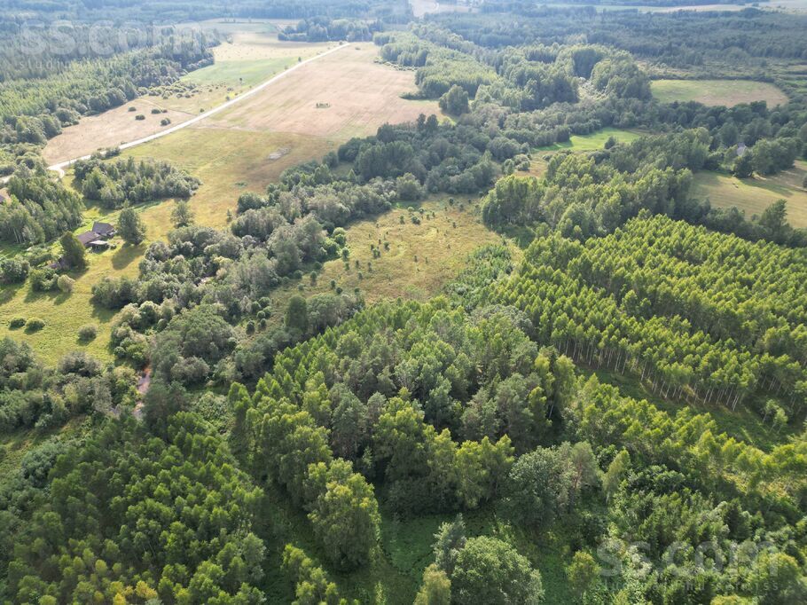 Dzilnas 2, Jaunkalsnava, Madona un raj., Kalsnavas pag. — zeme