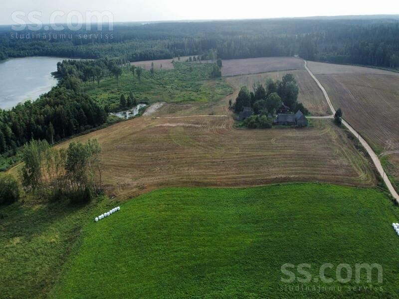 Kalna pupoli, Šengeida, Daugavpils un raj., Skrudalienas pag. — telpa