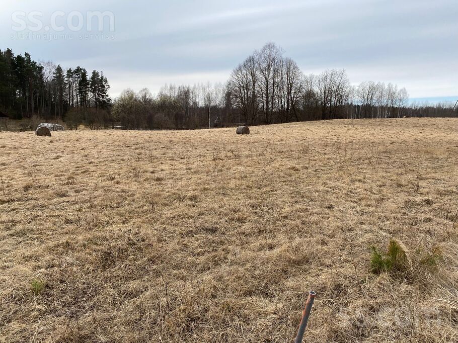 Cēsu ceļs, Auciems, Cēsis un raj., Raiskuma pag. — zeme