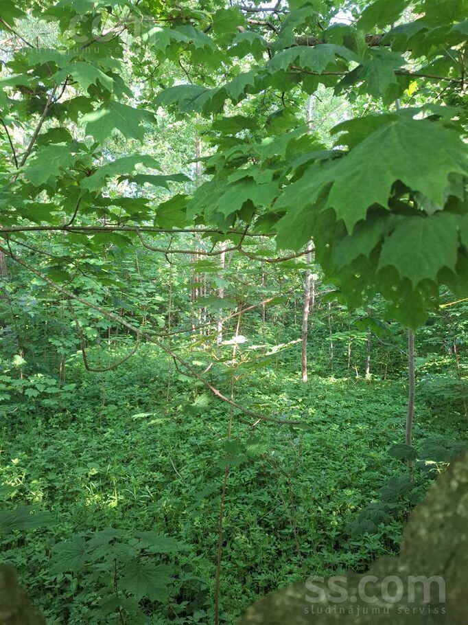 Slimnīcas 15, Rīga — zeme