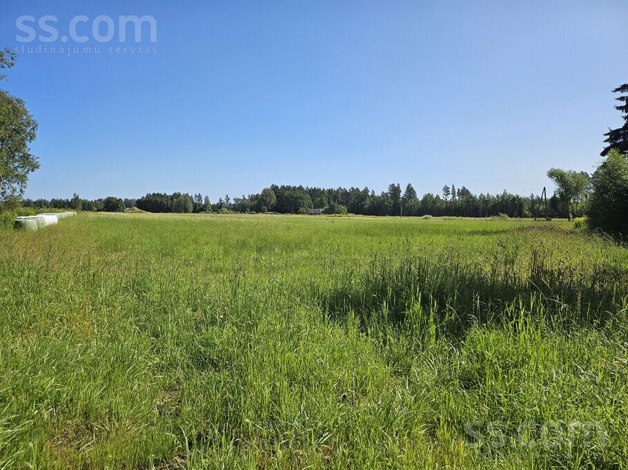 Jaunzelmeņi, Brankas, Jelgava un raj., Cenu pag. — zeme