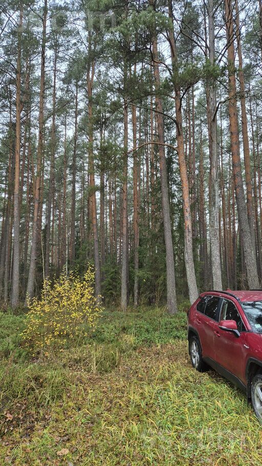 Cīruļu 9, Skulte, Limbaži un raj., Skultes pag. — zeme