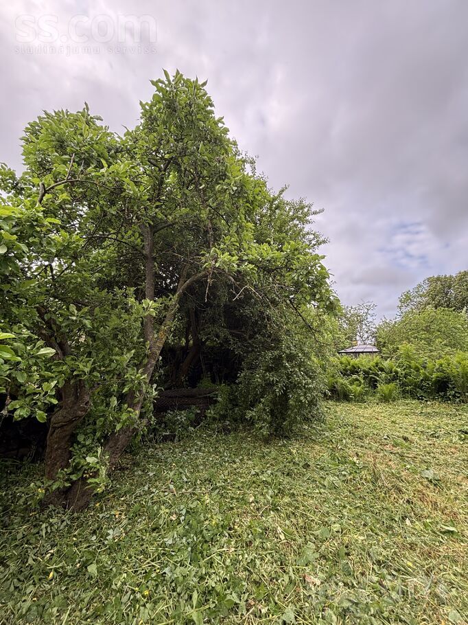 Pulkveža iela 32, Ventspils un raj., Ventspils — maja