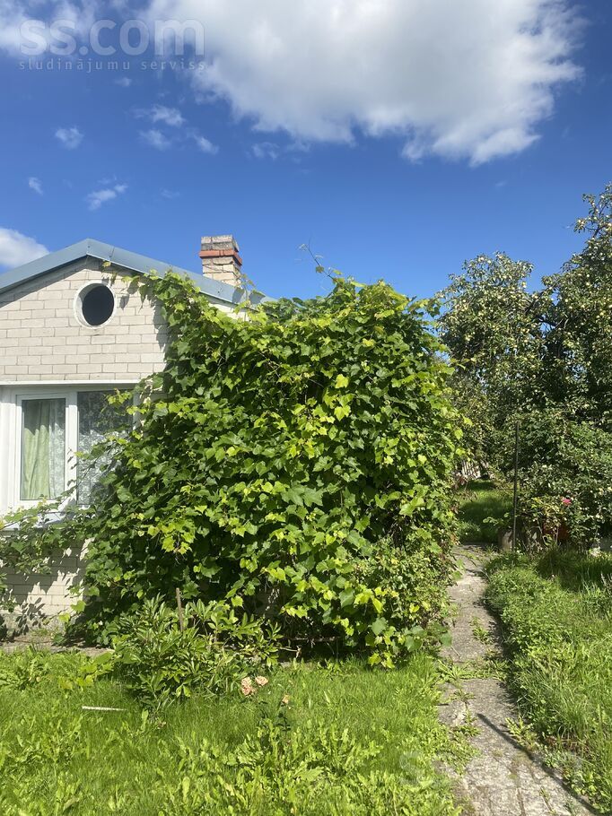 Valodzes iela 9, Jelgava un raj., Jelgava — maja