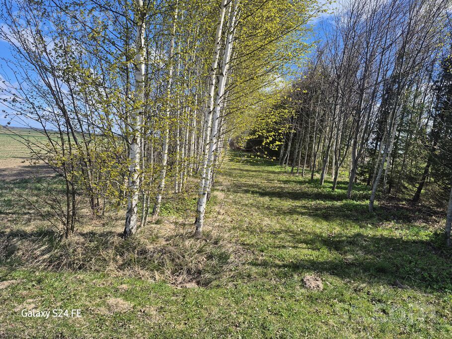 Vircavas, Vircava, Jelgava un raj., Vircavas pag. — zeme