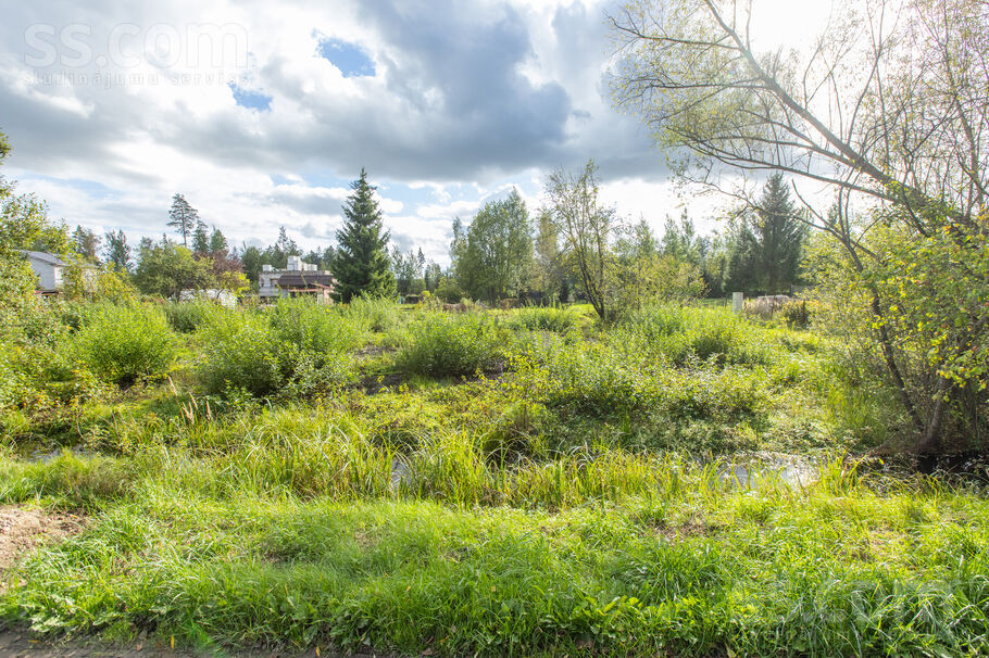 Straume 126, Jāņupe, Rīgas rajons, Olaines pag. — zeme