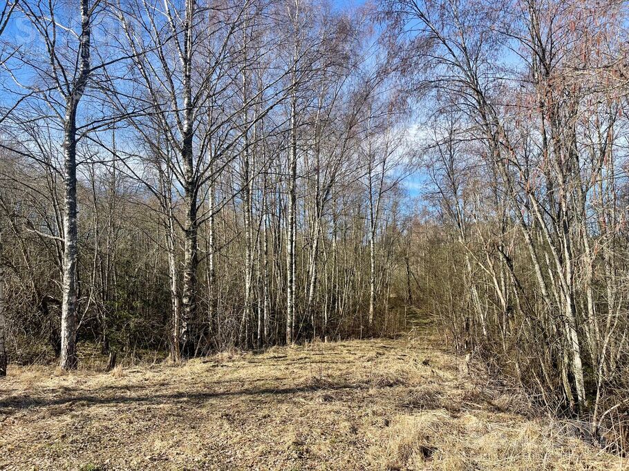Katlapi, Gaujasrēveļi, Gulbene un raj., Rankas pag. — zeme
