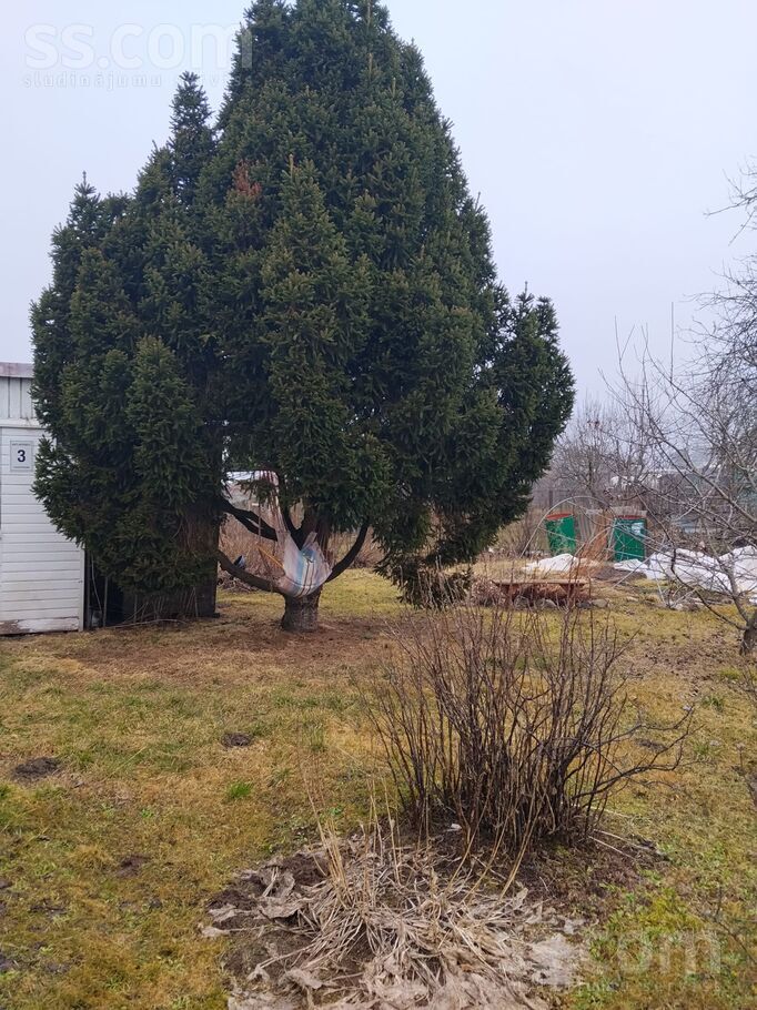 Smilgu iela 27, Ādaži, Rīgas rajons, Ādažu nov. — zeme