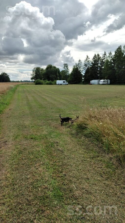 Nav nav, Līvbērze, Jelgava un raj., Līvbērzes pag. — zeme