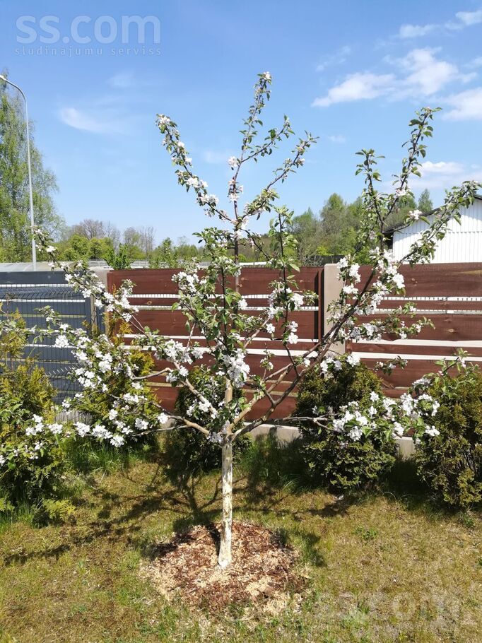 Juglas krastm., Rīga — maja