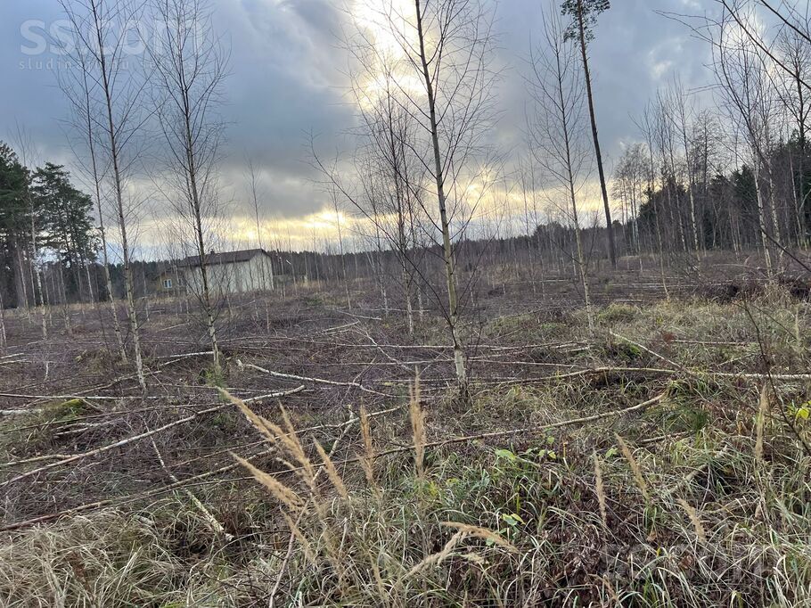 Mežkrogzemnieki, Skulte, Limbaži un raj., Skultes pag. — zeme