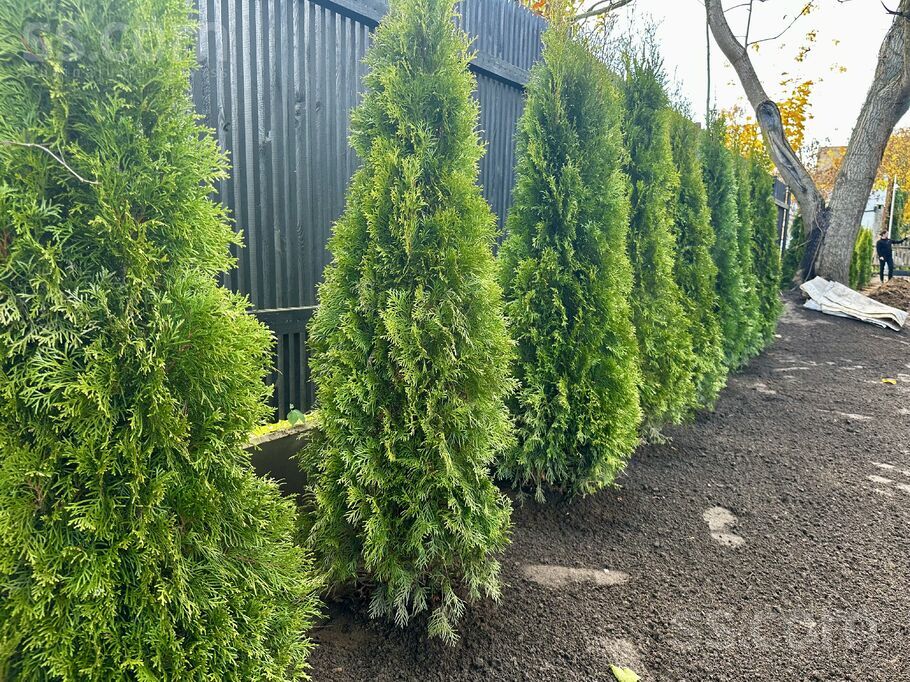 Kaukāza 11, Rīga — dzivoklis