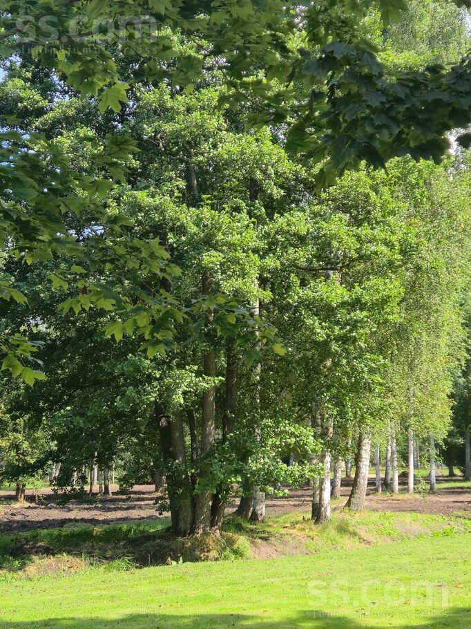 Platkāju iela, Rīgas rajons, Saulkrasti — zeme