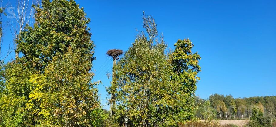 Dzintarkalni 1, Balvi un raj., Balvi — maja