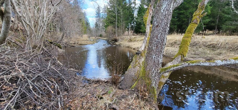 Upes iela 4, Rumbenieki, Kuldīga un raj., Rumbas pag. — zeme