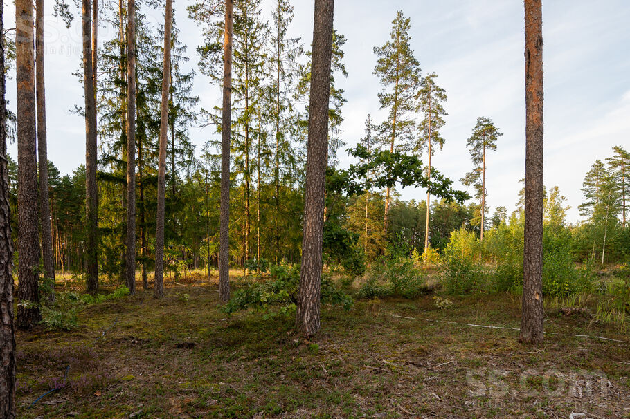 Mellenes, Inčukalns, Rīgas rajons, Inčukalna nov. — zeme